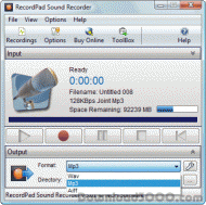 RecordPad Professional Edition screenshot